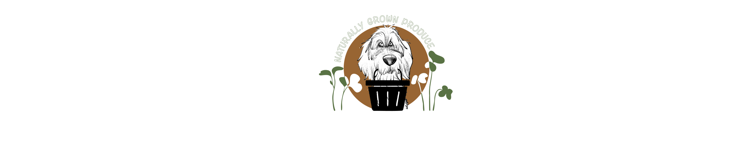 Copper Dog Farms — Microgreens